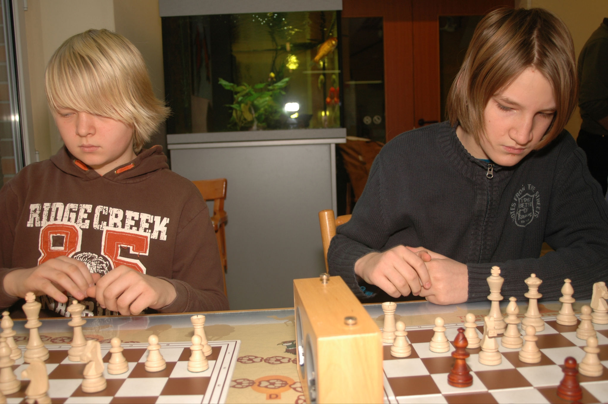 Vorschau